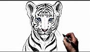 How To Draw A Tiger Cub | Step By Step