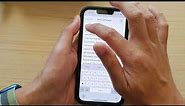 iPhone 13/13 Pro: How to Change The Text Color In an Email