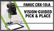 Pick and Place Automation Using Collaborative Robots - FANUC CRX10iA