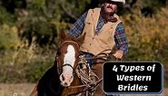 4 Types of Western Bridles You Need to Know (Equestrian Guide)