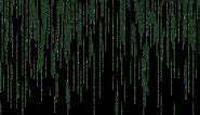 Matrix-style "Raining Code" Screensaver for PC