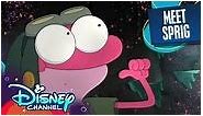 Meet Sprig! Amphibia Disney Channel