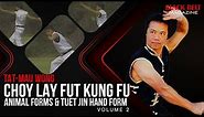 Tat-Mau Wong: Choy Lay Fut Kung Fu (Vol 3) - Animal and Tuet Jin Hand Forms | Black Belt Magazine
