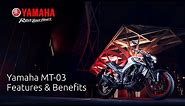 2020 Yamaha MT-03: Features & Benefits
