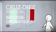 What is a Chromatic Induction? | Carlos Cruz-Diez