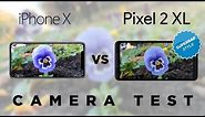 iPhone X vs Pixel 2 XL Camera Test Comparison