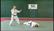 Kyokushinkai : Leg Technique -- Ushiro Mawashi Geri Jodan.