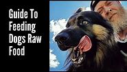 Guide To Feeding Dogs RAW Food