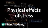 Physical effects of stress | Processing the Environment | MCAT | Khan Academy