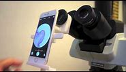 Pathobin universal smartphone microscope adapter