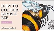 Colouring Tutorial : How to Colour a Bumble Bee