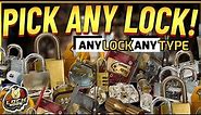 Pick EVERY Type of Lock!