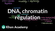 DNA and chromatin regulation | Biomolecules | MCAT | Khan Academy