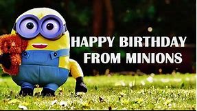 Happy Birthday from Minions
