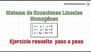 Sistema Ecuaciones Lineales Homogéneo | Ejercicio resuelto