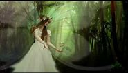 Magical Fairy in The Enchanted Forest. Fantasy Animated Short.
