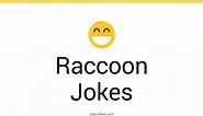 38  Raccoon Jokes And Funny Puns - JokoJokes