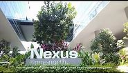 Nexus @one-north