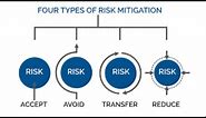 Risk Mitigation Strategy