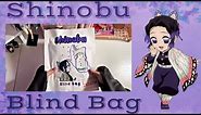 Blind Bag//Shinobu💜 Full Video// AkisTV