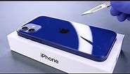 iPhone 12 Unboxing and Camera Test! - ASMR