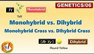 Monohybrid vs Dihybrid, Monohyrid Cross vs Dihybrid Cross (FL-Genetics/06)