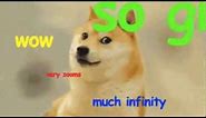 hypno shibe 1 hour (doge meme)