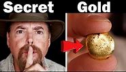 Strike It Rich: Top 10 Secret Gold Locations Every Beginner Prospector Should Know