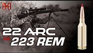 22 ARC vs 223