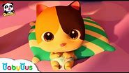Don't Cry, Baby Kitten | Baby Care | Diaper Change | BabyBus - Kids Songs and Cartoons
