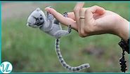 Finger Monkey! Most Adorable Animal In The World