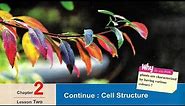 Sec 1\ Biology -1st term\ Unit 2\ Chapter 2\ Lesson 2 :- Continue - Cell Structure.
