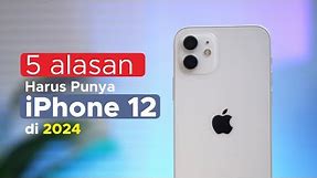 Makin Yakin Beli iPhone 12 di Tahun 2024! Ini Alasannya!