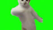 Cat Dancing Meme | Green Screen #cat #catmeme #dancing #catdancing #viral #fyp