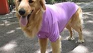 Lovelonglong Basic Dog Polo Shirts Premium Cotton, Polo T-Shirts for Large Medium Small Dogs with a Two-Button Collar Blank Color Violet XXXL