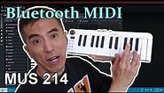 Bluetooth MIDI Keyboard - M-VAVE SMK-25 (MUS 214)