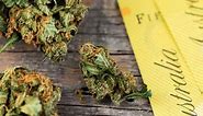 The Cost Of Weed In Australia: City & State Guide For Marijuana Prices | Cannabis Place