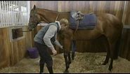 How To Tack Up A Racehorse #HorseHowTo