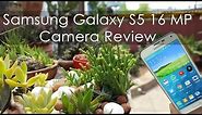 Samsung Galaxy S5 16 MP Camera Review with Sample Pictures & Videos