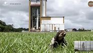 Sloth steals the show during European rocket launch broadcast