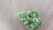 Skywalker OG Kush | Marijuana Strain Reviews