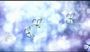 Butterflies are flying Background looping animation Screensaver Wallpaper