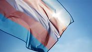 The History Behind the Transgender Pride Flag