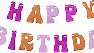 Happy Birthday Banner Hot Pink Orange Women Girl Glitter Happy Bday Banner Pink Orange Birthday Party Decorations Daisy Groovy Supplies 50th 40th 18th 30th 1st 16th 21st 10th 13th First Bday Banner