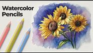 How to Use Watercolor Pencils - Techniques and Demonstration