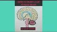 HOW TO DRAW L.S OF HUMAN BRAIN IN EASY STEPS