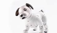 Sony’s new Aibo robot dog is much smarter than before and ‘loves anything pink’