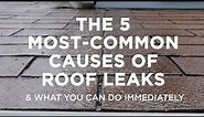 The Five Most–Common Causes of Roof Leaks – And What You Can Do
