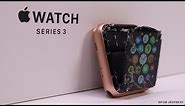 Apple Watch Series 3 Restoration