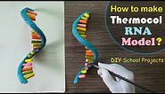How to make RNA 3d Model